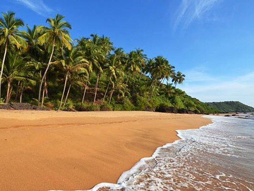 Palm-lined beach in Goa